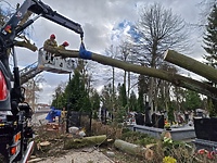 Silny wiatr dał się we znaki