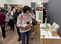 Skarby wikingów i polityka