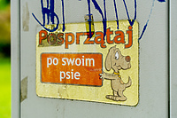 Śnieg stopniał, wstyd pozostał (napisali do nas)