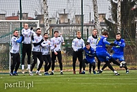 Sokół przyleci do Elbląga