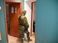 Straż Graniczna rozbiła zorganizowaną grupę przestępczą