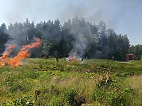 Strażackie ćwiczenia "Leśny trud 2021"
