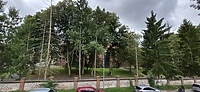 Szpital reaguje w sprawie drzew (wracamy do tematu)