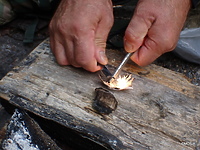 Survival. Odsłona druga