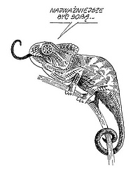 Świat według Zbigniewa Jujki