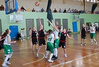 XVI Elbasket