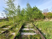 „Nie rezygnujemy z tego projektu”