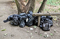 60 worków śmieci wynieśli z Bażantarni