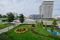 Jak i z czyjej inicjatywy uhonorować kobiety?