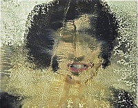 Terytoria na wystawie