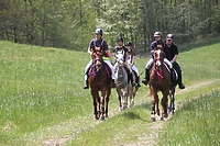 To było wyzwanie dla jeźdźców