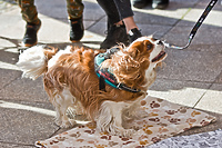 Tosia w roli terapeutki