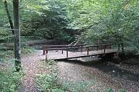 Tropem bażanta z przewodnikiem