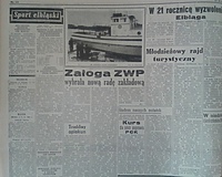Troskliwy opiekun