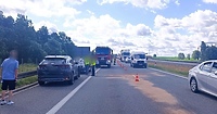 Trzy samochody zderzyły się na S7. Do kolizji przyczynił się łabędź