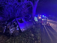 Uderzył w drzewo w Jeleniej Dolinie