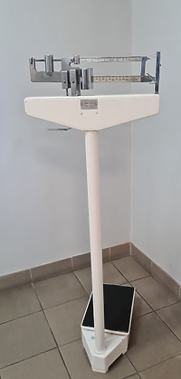 W Elblągu doszło do kradzieży wielkiej wagi