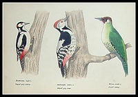 "W świecie ciszy" - wystawa i spotkanie w Filarze Sztuki