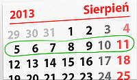 W tym tygodniu   portEl poleca