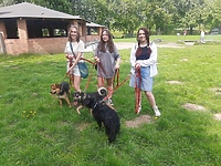 Wakacje z biegiem na sześć łap