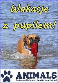 Wakacje z pupilem