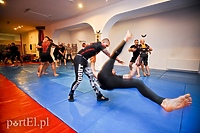 Nowi wojownicy w mieście