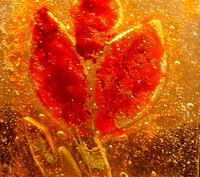 Warsztaty w Kadynach