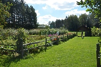 Warsztaty z rzeźby wśród pól i lasów