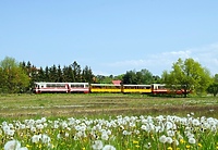 Wąskim torem w święta