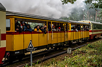 Wąskotorówką w święta