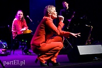 Życie to krótki sen, czyli kilka słów prawdy o Ewie Błaszczyk