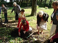 Nadzieja płynąca z żonkilowych pól