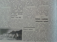 Więcej żabek