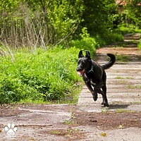 Wiosenny Bieg na 6 Łap