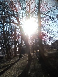 Wiosna na sportowo