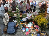 Pasja i pomysłowość, czyli co piszczy w WMBP w Elblągu