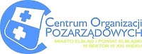 Współpraca międzynarodowa w projektach młodzieżowych