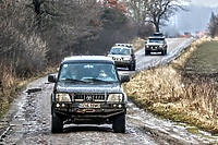 Wspomogli bezdomne zwierzęta