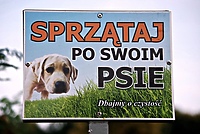 Wstydliwy psi problem (list do redakcji)