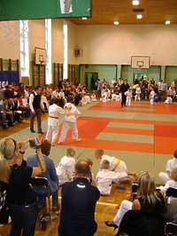 Wyborna integracja (judo)