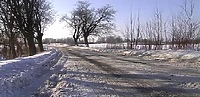 Wycinać czy nie wycinać?
