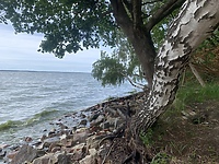 Wyprawa do Świętego Kamienia  (Na spacer z portElem, odc. 10)