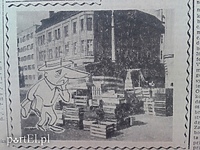 Z wędrówek Drzazgi