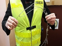 Policjanci uratowali sarnę z pułapki kłusownika