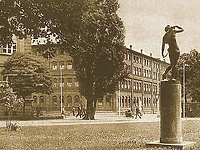 Budżet obywatelski: zagłosuj na Dianę  (akcja portElu)