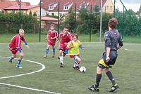Zakończenie PELA i mini ME