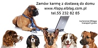 Zakupy na telefon
