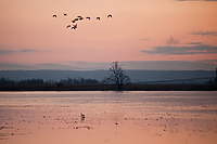 Zamiast spania okazja przyrody podziwiania