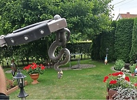 Zaskroniec na posesji