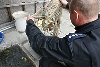 Zatrzymali kłusowników